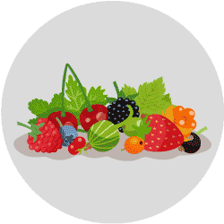 SOME HEALTHY FOODS - FRUITS